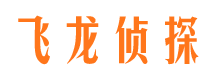 殷都市侦探调查公司